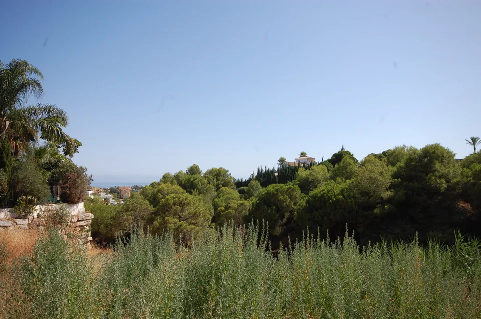 VILLA GALA Selwo · photo 5 of 5